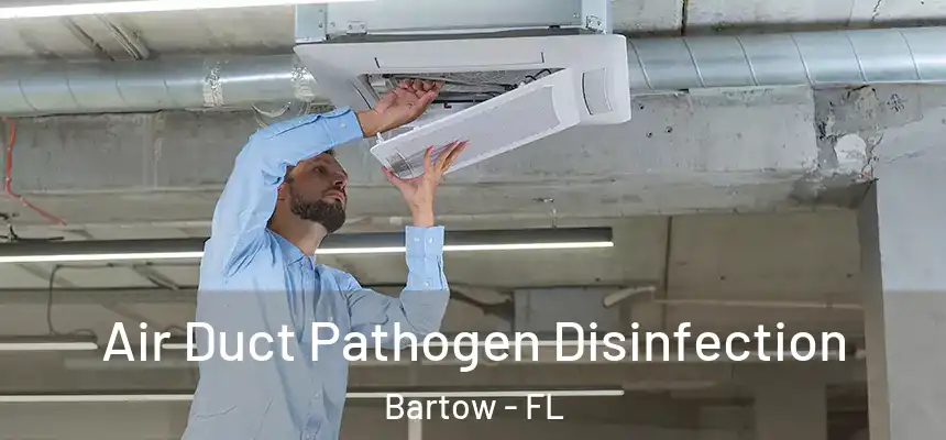  Air Duct Pathogen Disinfection Bartow - FL