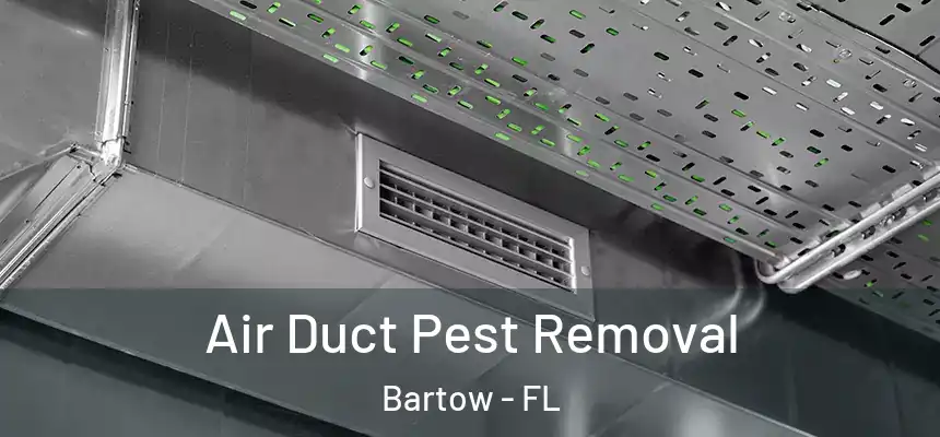  Air Duct Pest Removal Bartow - FL