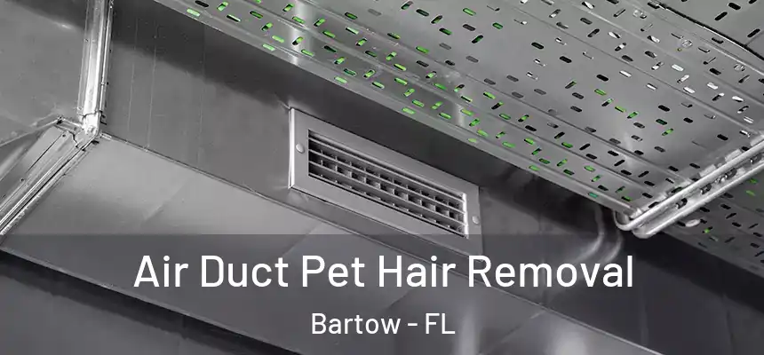  Air Duct Pet Hair Removal Bartow - FL