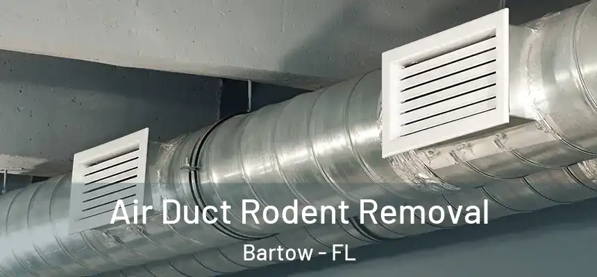  Air Duct Rodent Removal Bartow - FL