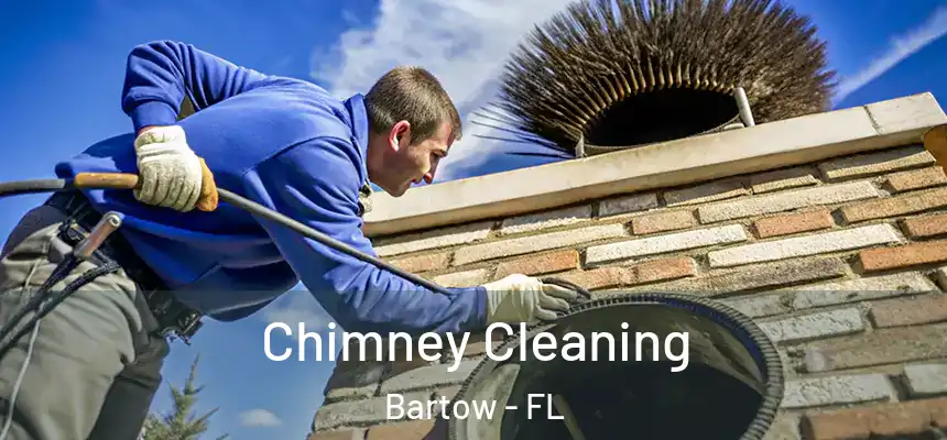 Chimney Cleaning Bartow - FL