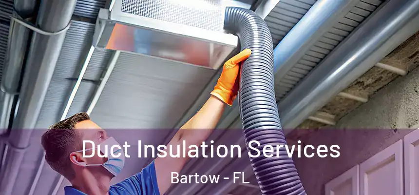 Duct Insulation Services Bartow - FL