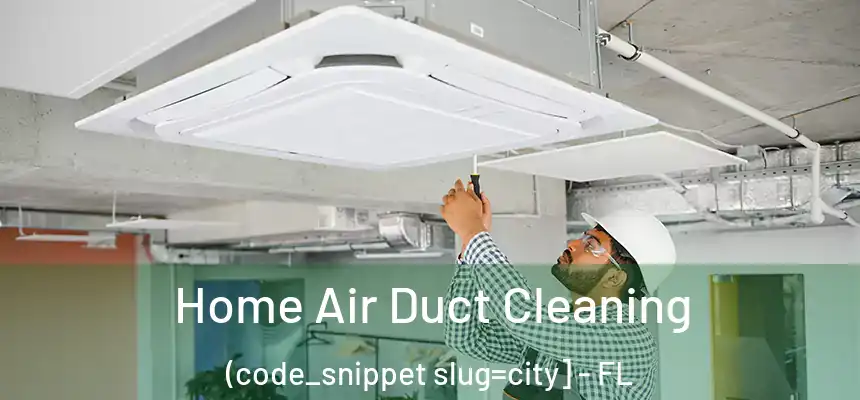  Home Air Duct Cleaning (code_snippet slug=city] - FL