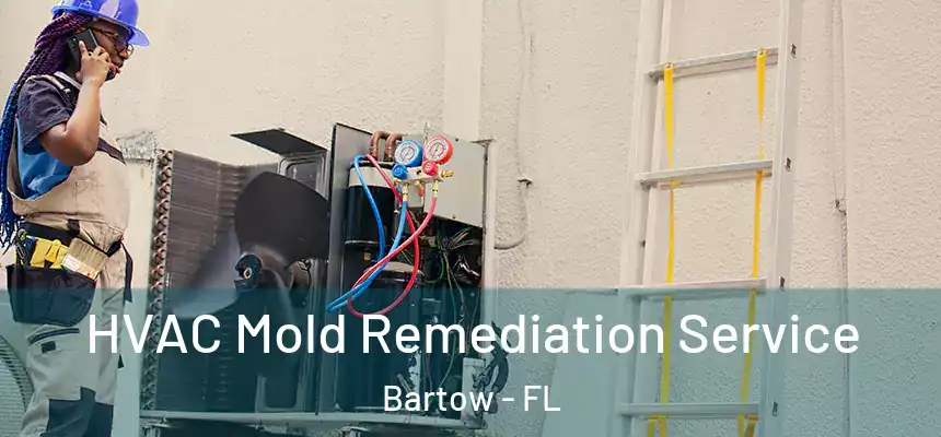 HVAC Mold Remediation Service Bartow - FL