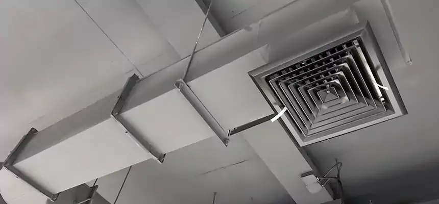 Our Pest Removal From Ducts Services in Bartow, FL