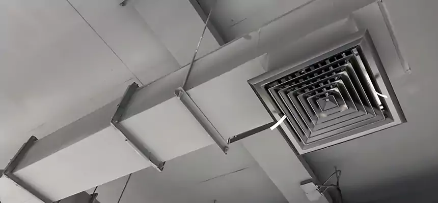 Our Rodent Droppings In Vents Services in Bartow, FL