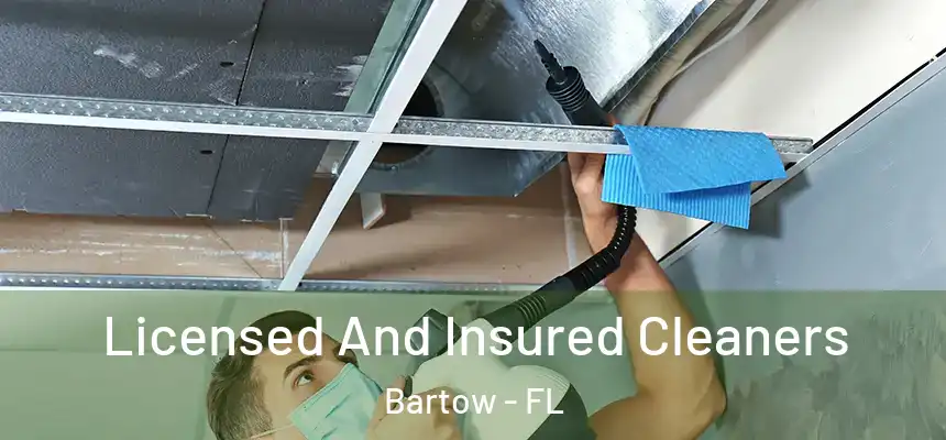Licensed And Insured Cleaners Bartow - FL