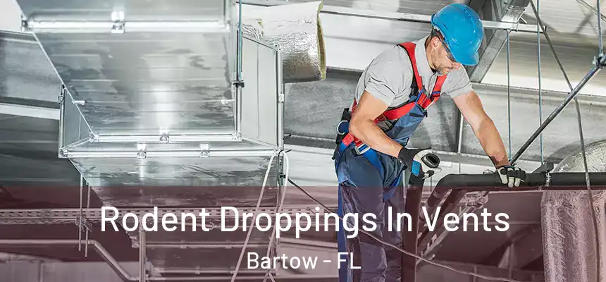 Rodent Droppings In Vents Bartow - FL